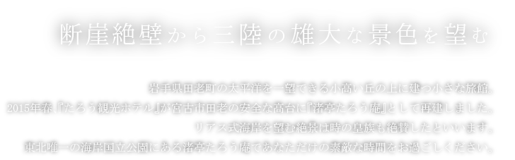 断崖絶壁から三陸の雄大な景色を望む