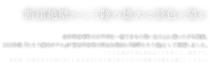 断崖絶壁から三陸の雄大な景色を望む