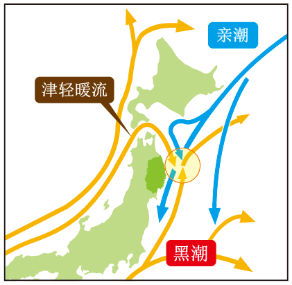 自南方而上的「黑潮」及自北方而下的「亲潮」，加上由日本海流至津轻海峡的「津轻暖流」互相复杂地交错汇流。