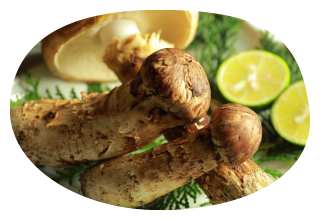 High class matsutake